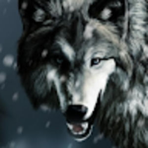 Meet your Posher, Ultrawolf